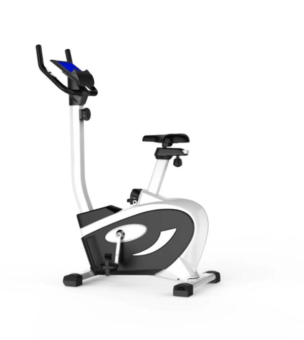 Bicicleta de rehabilitación de fisioterapia: SIFREHABIKE-1.1